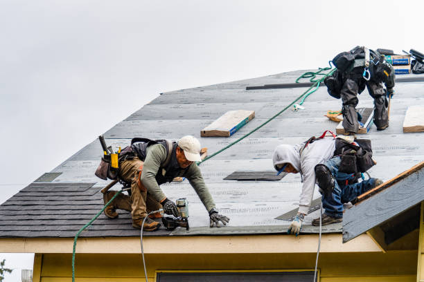 Professional Roofing technician working in Van Etten, NY